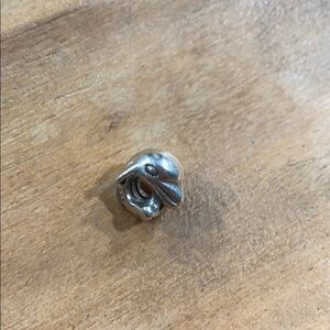 Pandora Charm